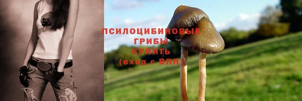 2c-b Абинск