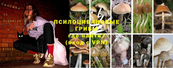 а пвп мука Абдулино