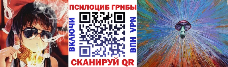 Псилоцибиновые грибы прущие грибы Зеленогорск