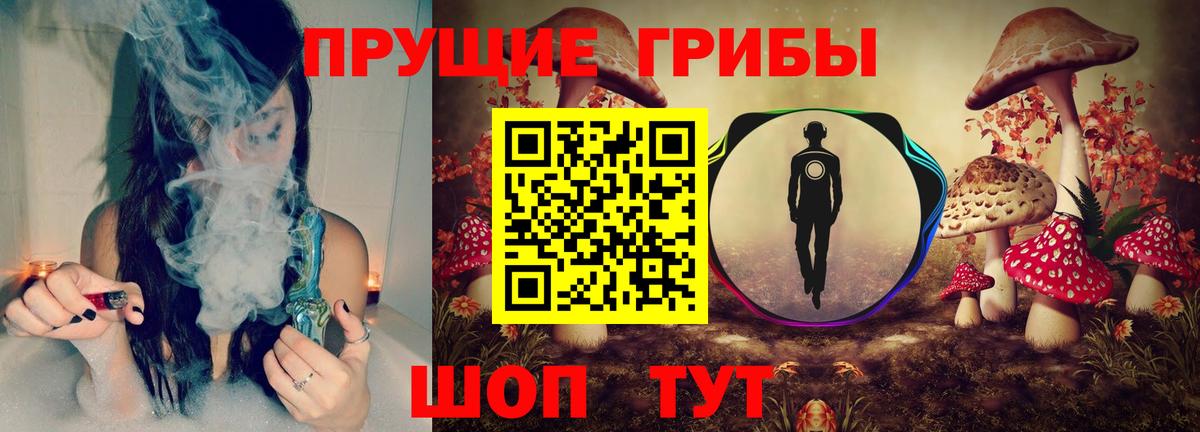 Зеленогорск  Галлюциногенные грибы Cubensis  Галлюциногенные грибы Magic Shrooms  Вход с VPN 